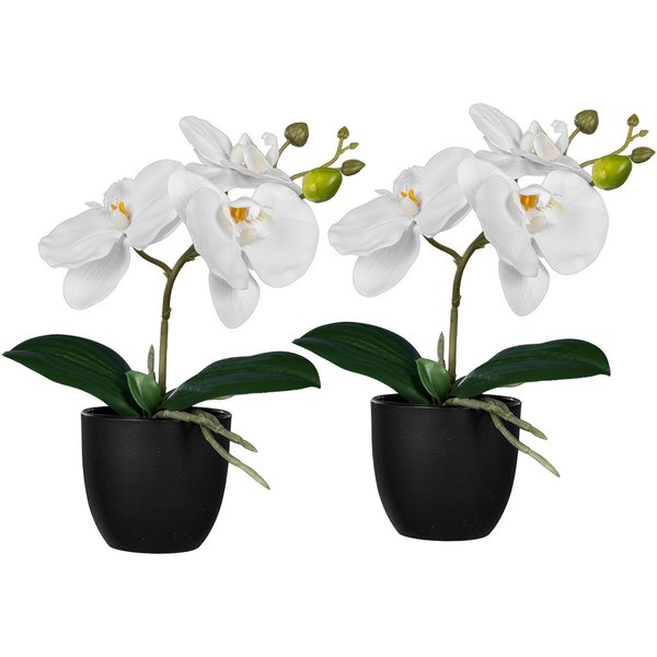Kunstorchidee Orchidee Phalaenopsis, Creativ green, Höhe 23 cm, mit naturgetreuen Blüten