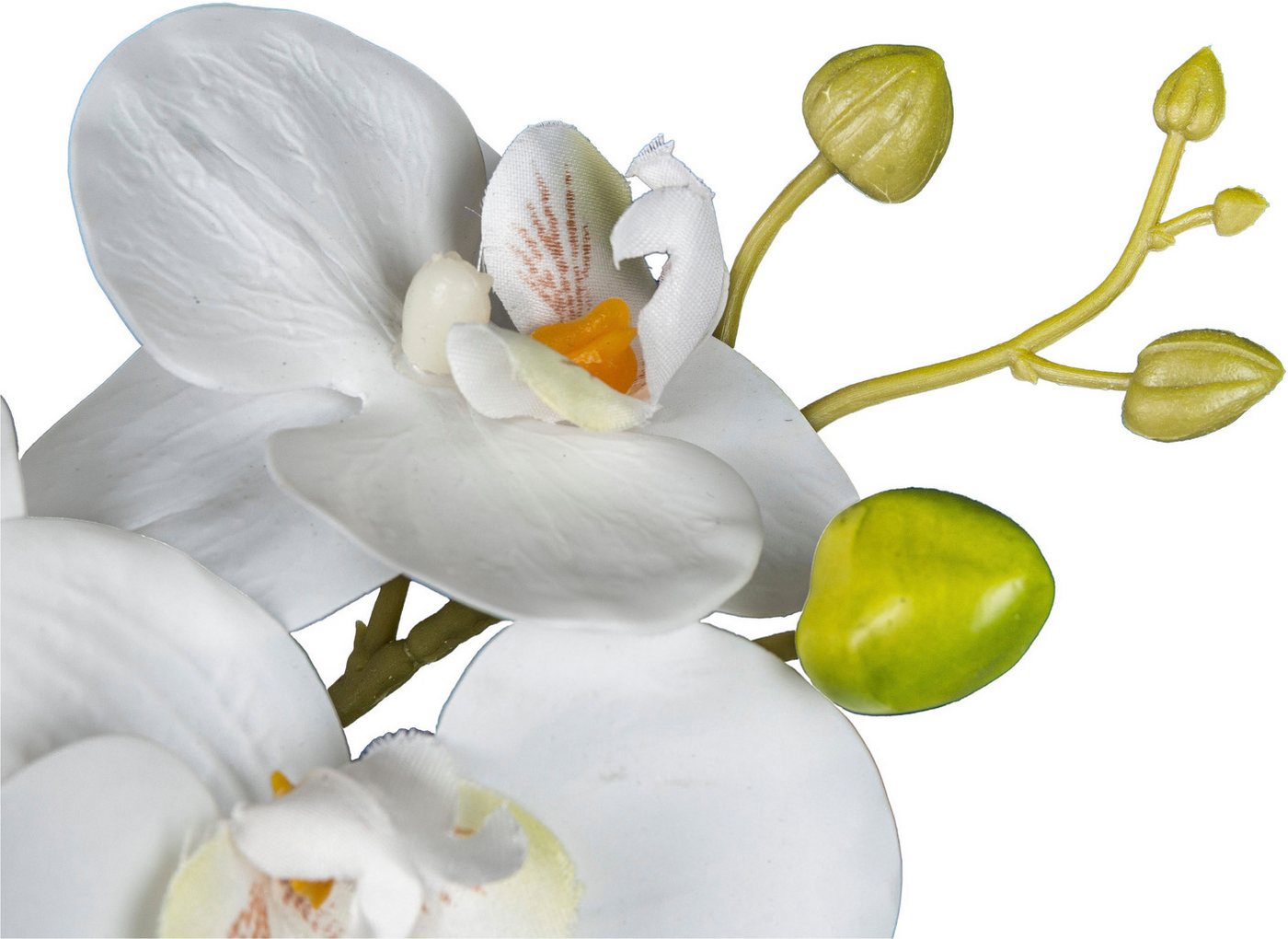 Kunstorchidee Orchidee Phalaenopsis, Creativ green, Höhe 23 cm, mit naturgetreuen Blüten – Bild 3 von 3