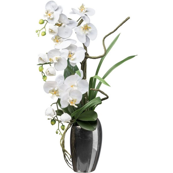 Kunstorchidee Orchidee Phalaenopsis, Creativ green, Höhe 68 cm, mit real-touch-Blüten
