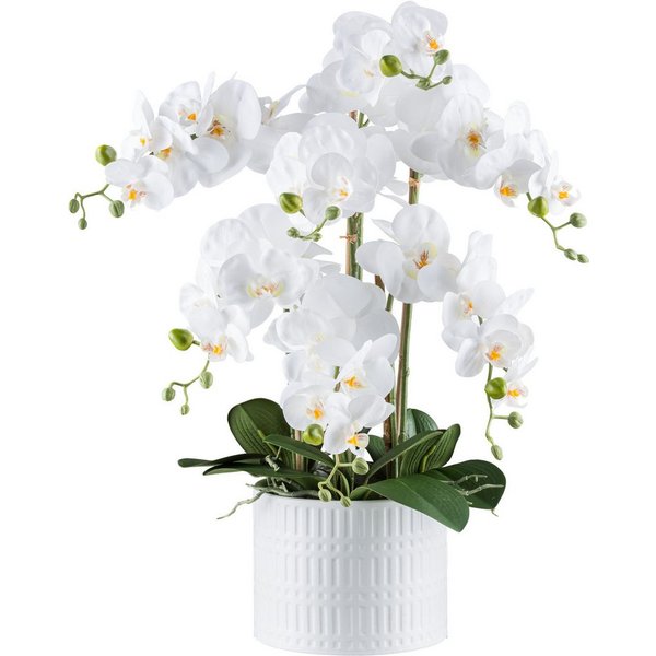 Kunstorchidee Orchidee Phalaenopsis, Creativ green, Höhe 60 cm, mit real-touch-Blüten