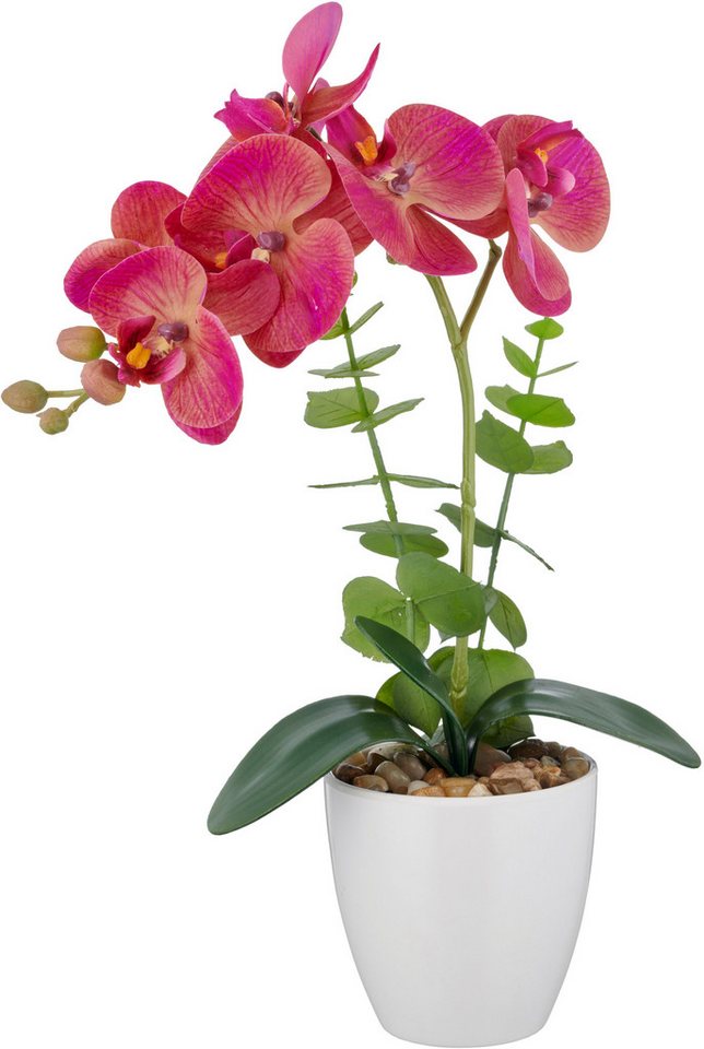 Kunstorchidee Orchidee Phalaenopsis, Creativ green, Höhe 40 cm, mit Eukalyptuszweigen – Bild 2 von 5