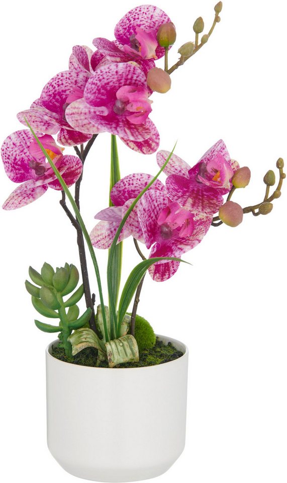 Kunstorchidee Orchidee Phalaenopsis, Creativ green, Höhe 30 cm, mit real-touch-Blüten – Bild 2 von 3