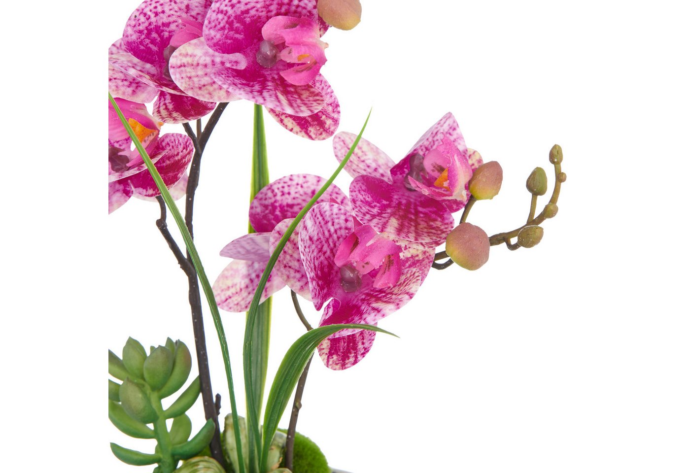 Kunstorchidee Orchidee Phalaenopsis, Creativ green, Höhe 30 cm, mit real-touch-Blüten – Bild 3 von 3