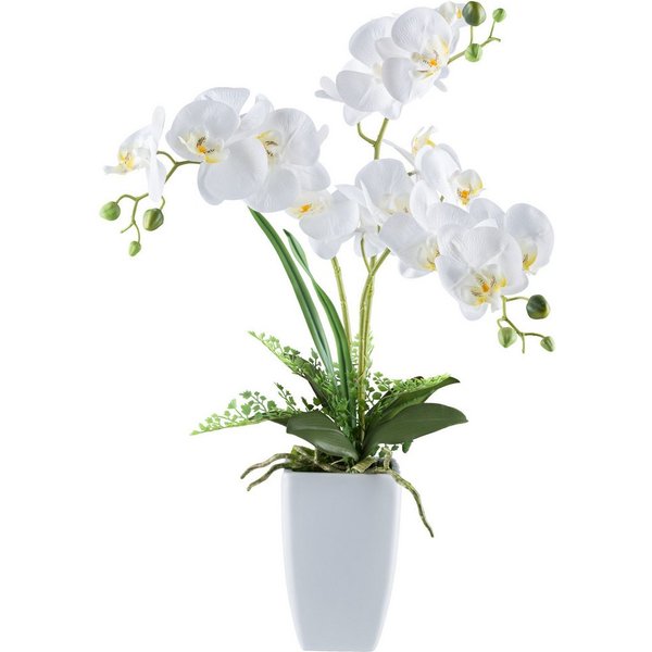 Kunstorchidee Orchidee Phalaenopsis, Creativ green, Höhe 67 cm, mit Farnzweigen