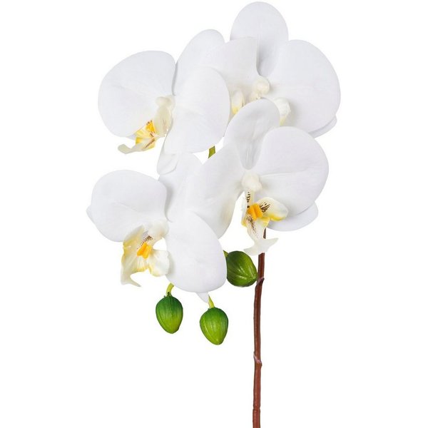 Kunstorchidee Orchidee Phalaenopsis Orchidee, Creativ green, Höhe 44 cm, mit real-touch-Blüten