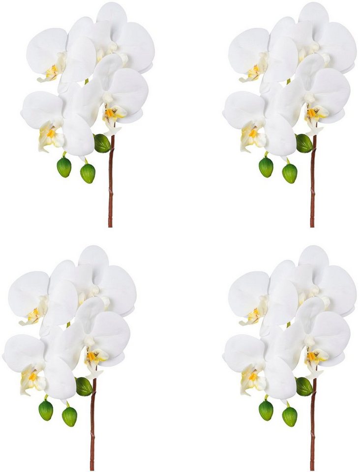 Kunstorchidee Orchidee Phalaenopsis Orchidee, Creativ green, Höhe 44 cm, mit real-touch-Blüten – Bild 2 von 3