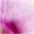 Kunstorchidee Phalaenopsis, Creativ green, Höhe 30 cm, 2er Set, in Kunststoffschale – Bild 3 von 3