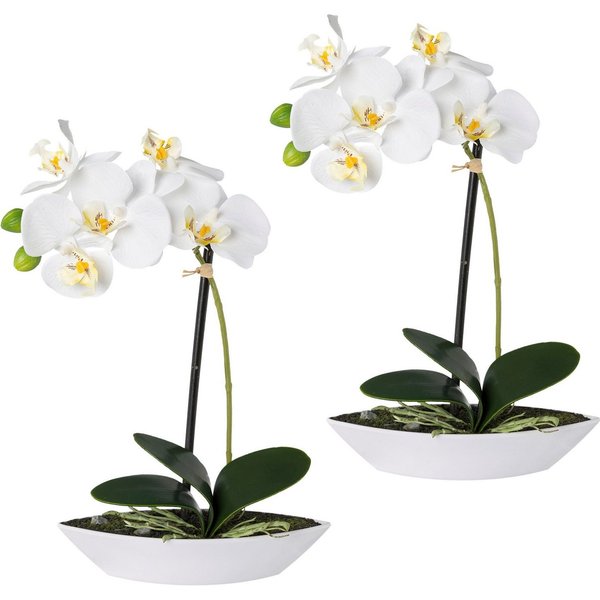Kunstorchidee Phalaenopsis, Creativ green, Höhe 30 cm, 2er Set, in Kunststoffschale