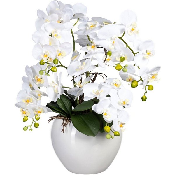 Kunstorchidee Phalaenopsis im Keramiktopf Orchidee Phalaenopsis, Creativ green, Höhe 56 cm