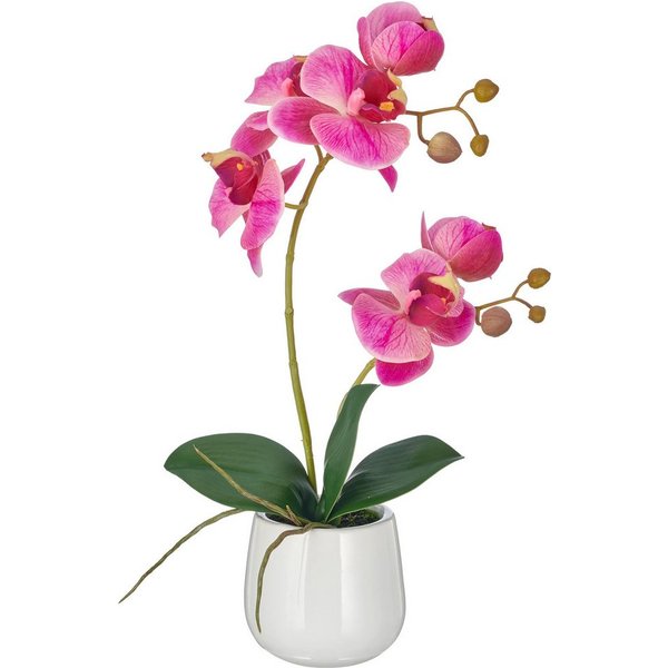 Kunstorchidee Phalaenopsis, Creativ green, Höhe 38 cm, mit Real-Touch-Blüten