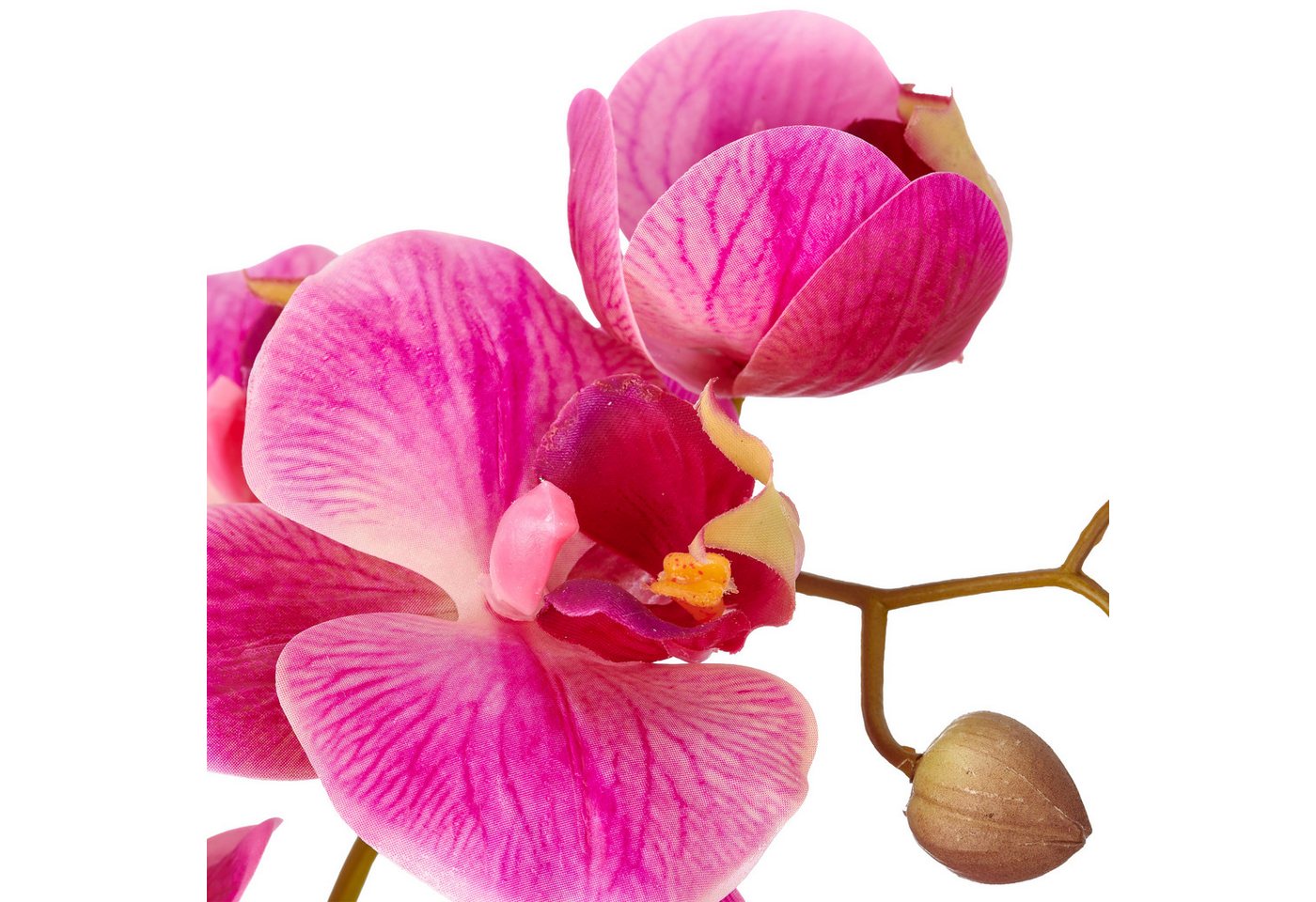 Kunstorchidee Phalaenopsis, Creativ green, Höhe 38 cm, mit Real-Touch-Blüten – Bild 2 von 2