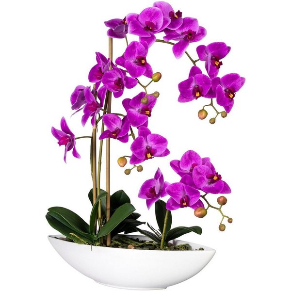 Kunstorchidee Phalaenopsis Orchidee Phalaenopsis, Creativ green, Höhe 60 cm, im Keramikschiff