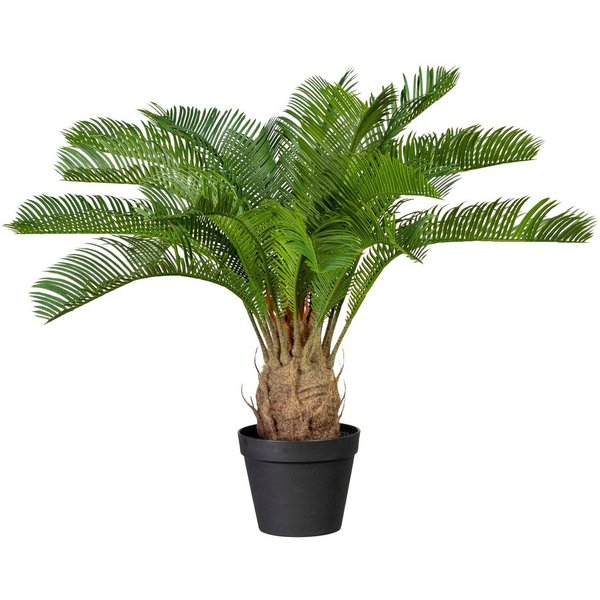 Kunstpalme Cycaspalme, Creativ green, Höhe 60 cm