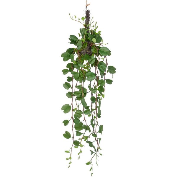 Kunstpflanze Bauhinia, Creativ green, Höhe 90 cm, mit detailgetreuen Blattranken an Reisigkugel