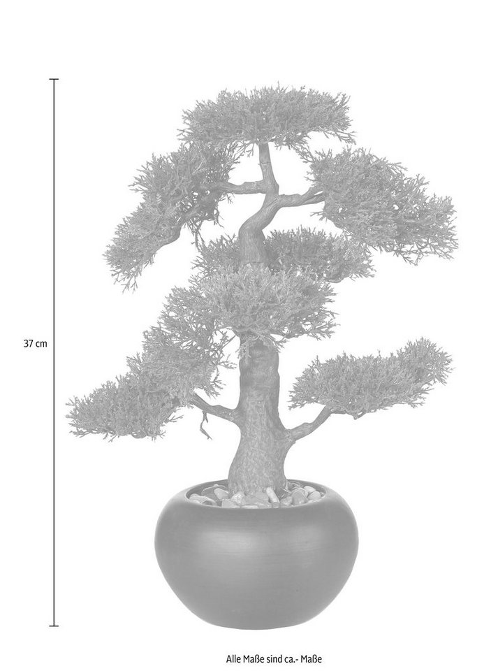 Kunstpflanze Bonsai, Creativ green, Höhe 37 cm – Bild 5 von 5