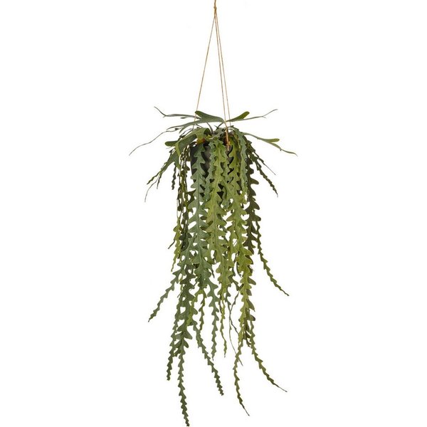 Kunstpflanze Epiphyllumhänger, Creativ green, Höhe 91 cm, im Hängetopf