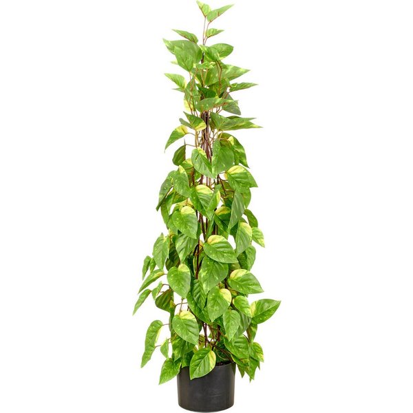 Kunstpflanze Epipremnum, Creativ green, Höhe 95 cm, in Pyramidenform