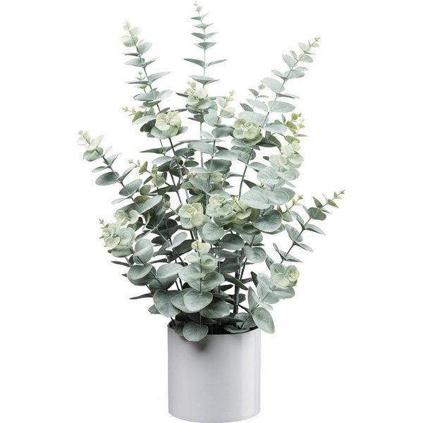 Kunstpflanze Eukalyptus, Creativ green, Höhe 66 cm, mit üppigem Blattwerk