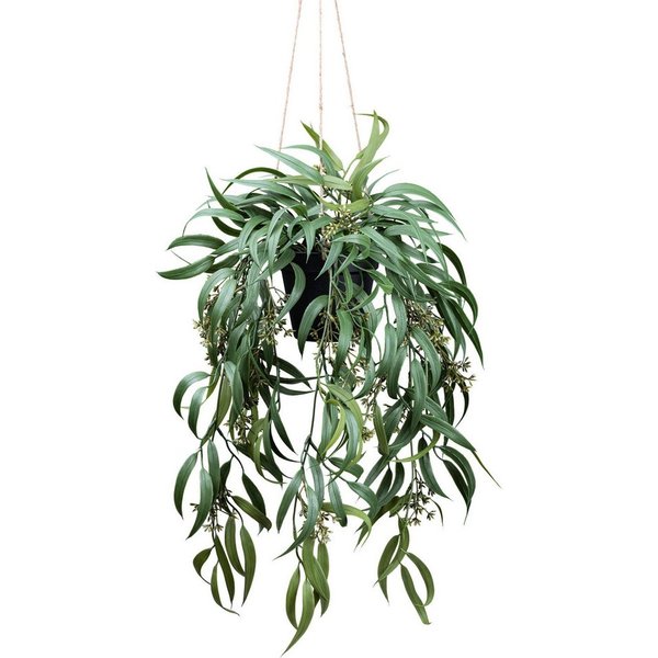 Kunstpflanze Eukalyptus Globolus Eukalyptus, Creativ green, Höhe 65 cm, mit Fruchtblüten