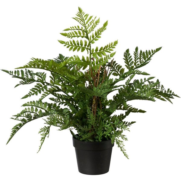 Kunstpflanze Farn, Creativ green, Höhe 45 cm, im Kunststofftopf