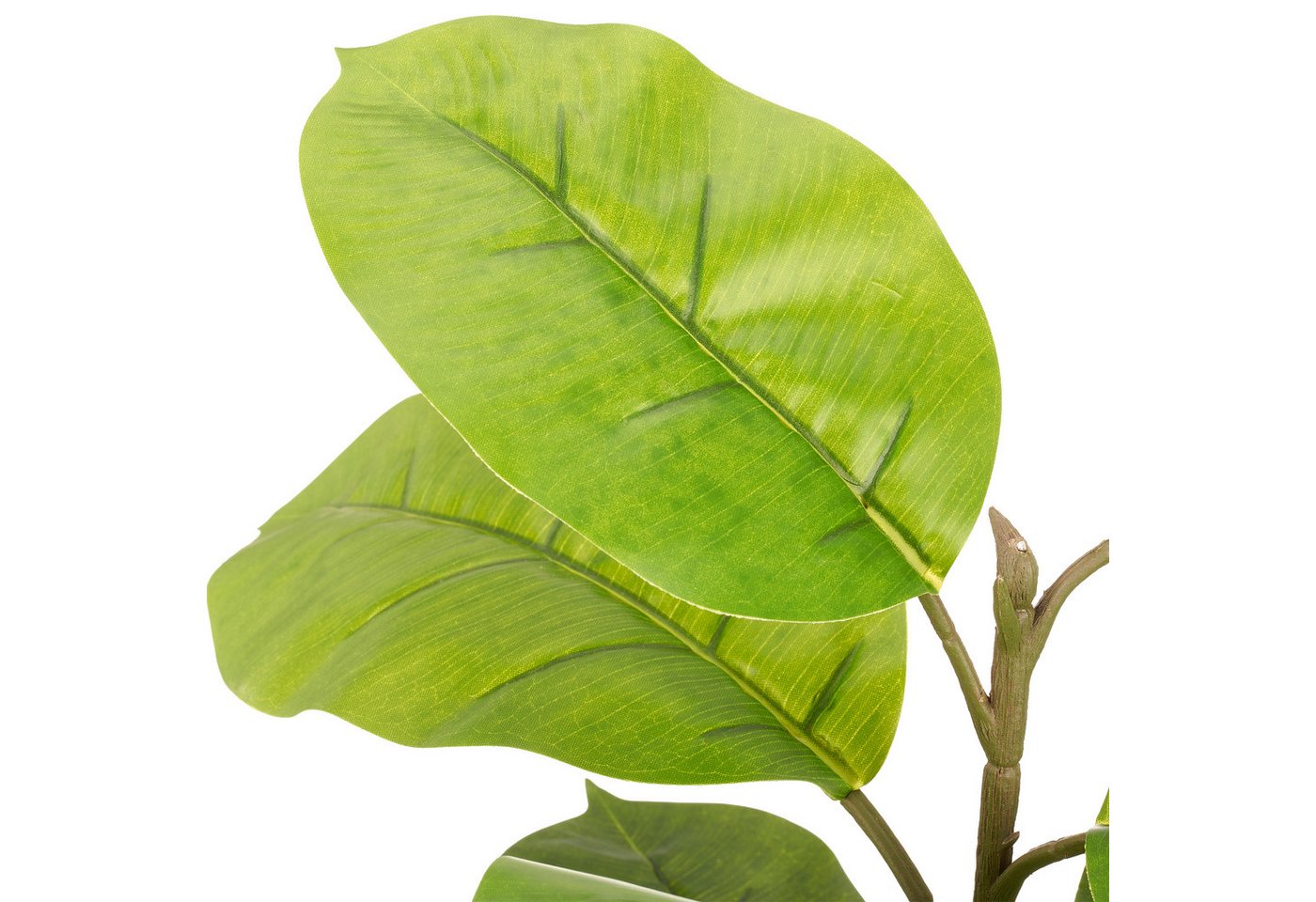 Kunstpflanze Ficus, Creativ green, Höhe 100 cm, mit naturgetreuem Blattwerk – Bild 2 von 2