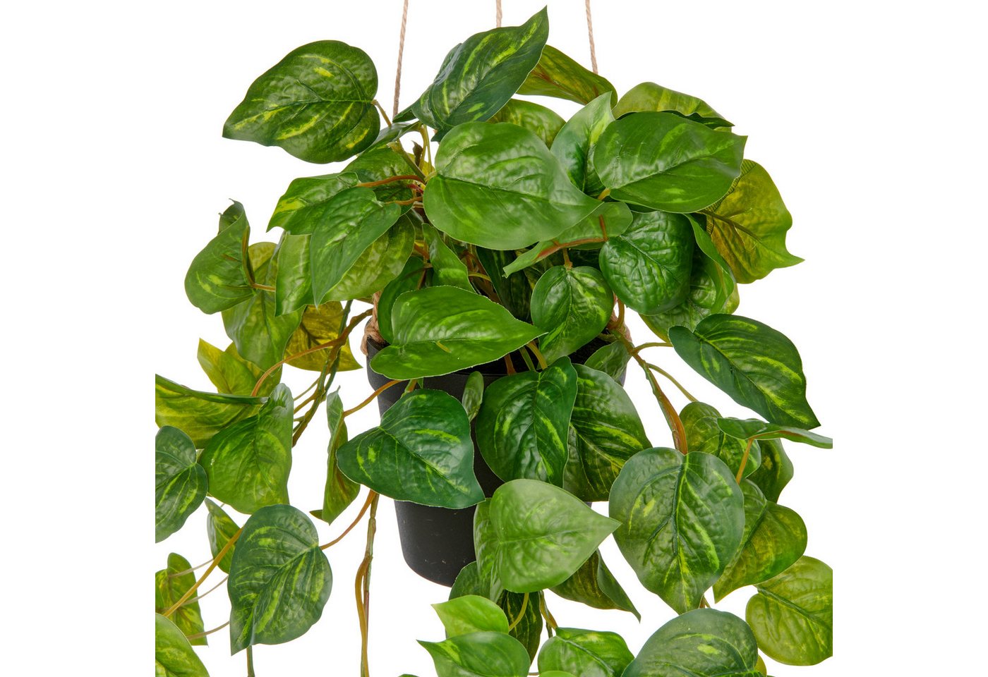 Kunstpflanze Hängender Philodendron hederaceum, Creativ green, Höhe 75 cm, mit üppigen Ranken – Bild 2 von 2