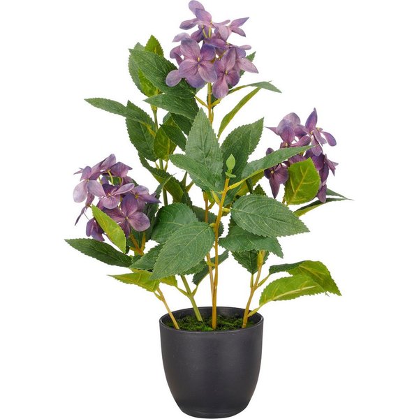 Kunstpflanze Hortensie paniculata, Creativ green, Höhe 45 cm, mit 8 Real-Touch-Blüten