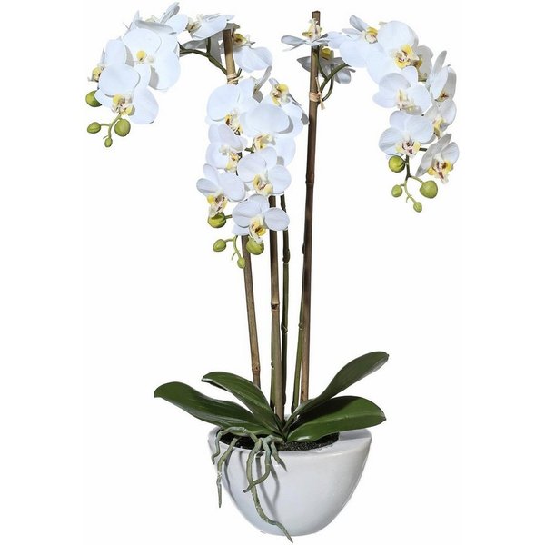Kunstpflanze Mini Orchidee, Creativ green, Höhe 51 cm