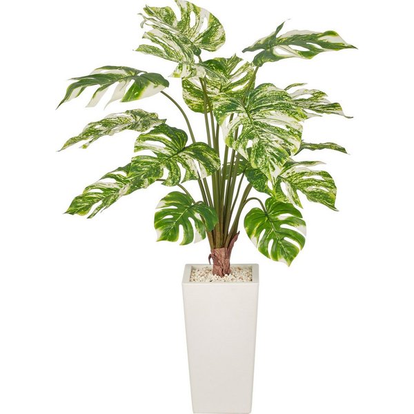 Kunstpflanze Monstera variegata, Creativ green, Höhe 120 cm, mit wunderschöner Blattgestaltung