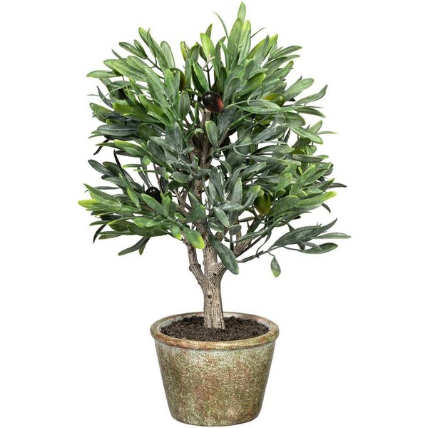 Kunstpflanze Olive, Creativ green, Höhe 36 cm, mit detailgetreuer Gestaltung