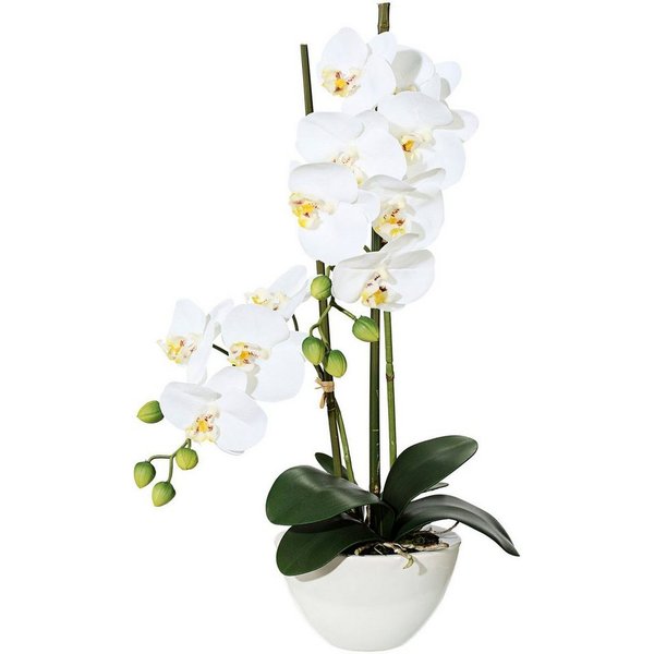 Kunstpflanze Orchidee Orchidee, Creativ green