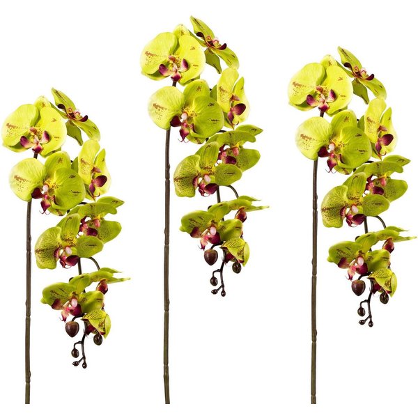Kunstpflanze Orchidee, Creativ green, Höhe 98 cm, 3er Set