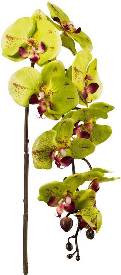 Kunstpflanze Orchidee, Creativ green, Höhe 98 cm, 3er Set – Bild 2 von 4