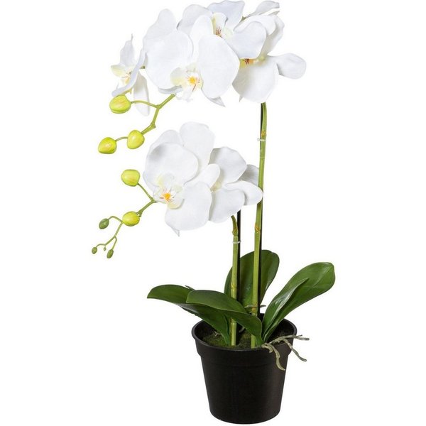 Kunstpflanze Orchidee, Creativ green, Höhe 55 cm