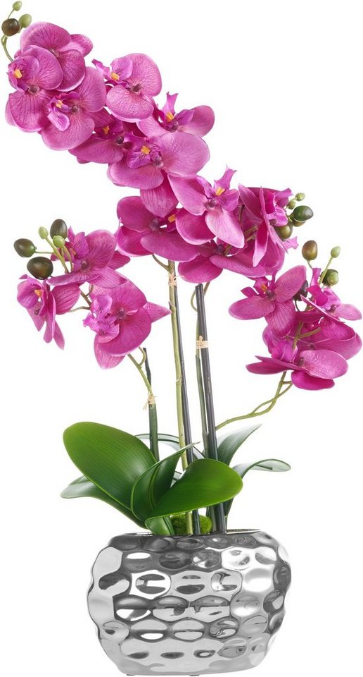 Kunstpflanze Orchidee Orchidee, Creativ green, Höhe 55 cm – Bild 2 von 5