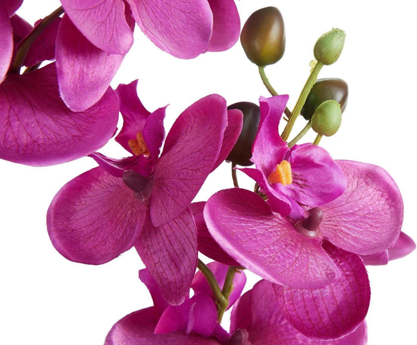 Kunstpflanze Orchidee Orchidee, Creativ green, Höhe 55 cm – Bild 3 von 5