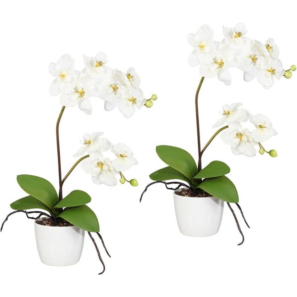 Kunstpflanze Orchidee Phalaenopsis Orchidee, Creativ green, Höhe 60 cm, im Keramiktopf