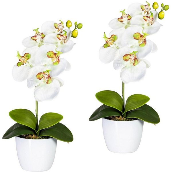 Kunstpflanze Orchidee Phalaenopsis Orchidee, Creativ green, Höhe 40 cm, im Keramiktopf