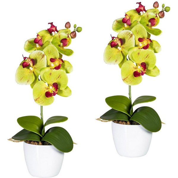 Kunstpflanze Orchidee Phalaenopsis Orchidee, Creativ green, Höhe 40 cm, im Keramiktopf