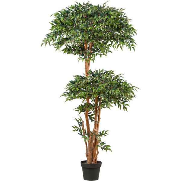 Kunstpflanze Ruscus Grünpflanze, Creativ green, Höhe 170 cm, in toller Größe