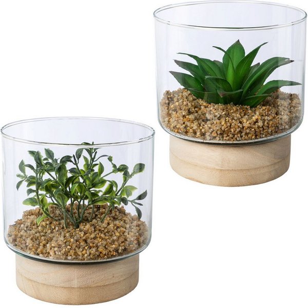 Kunstpflanze Sukkulenten im Glasgefäß, Creativ green, Höhe 12,5 cm, mit 2 verschiedenen Sukkulenten