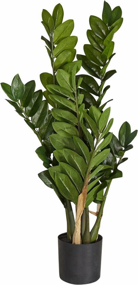 Kunstpflanze Zamifolia, Creativ green, Höhe 70 cm – Bild 2 von 5