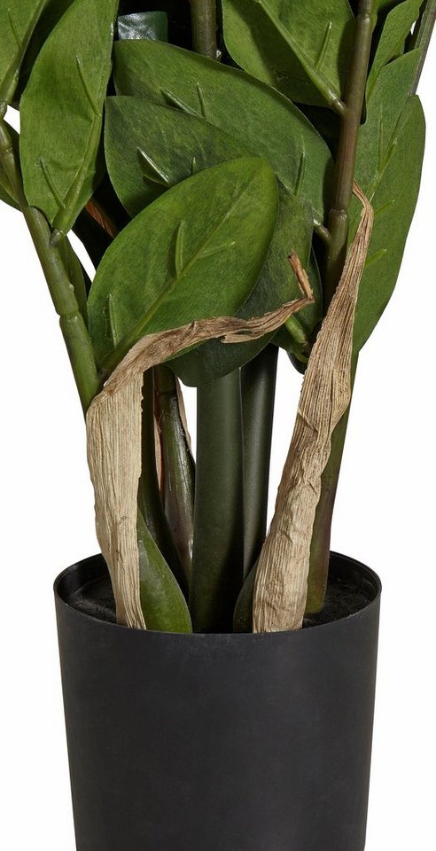 Kunstpflanze Zamifolia, Creativ green, Höhe 70 cm – Bild 3 von 5