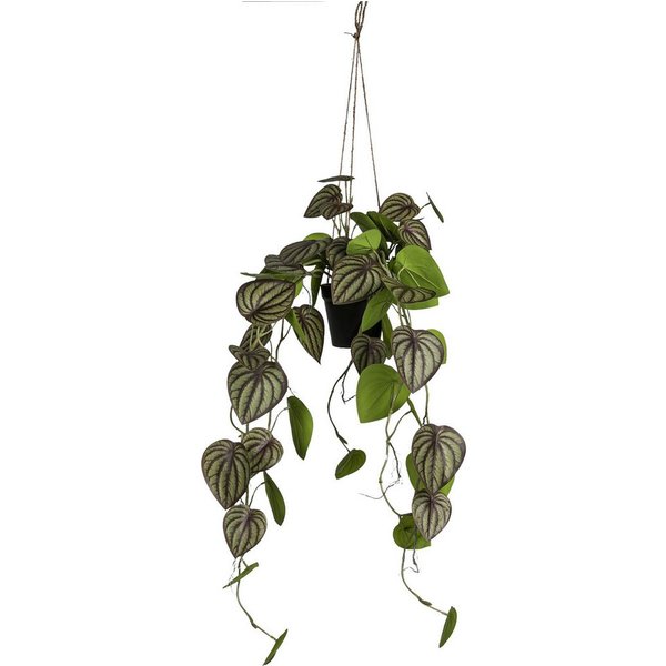 Kunstpflanze Zwergpfeffer, Creativ green, Höhe 85 cm, mit formschönen Ranken