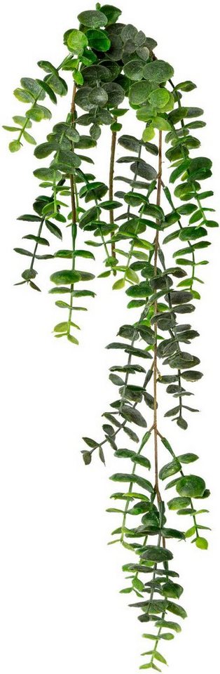Kunstranke Eukalyptus-Hängezweig Eukalypthus, Creativ green, Höhe 63 cm – Bild 2 von 3