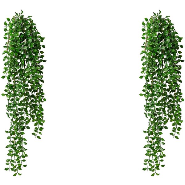 Kunstranke Hängebusch Columnea Columnea, Creativ green, Höhe 86 cm