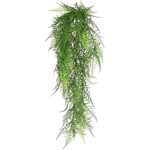 Kunstranke Hänger Asparagus plumosus Asparagus, Creativ green, Höhe 80 cm