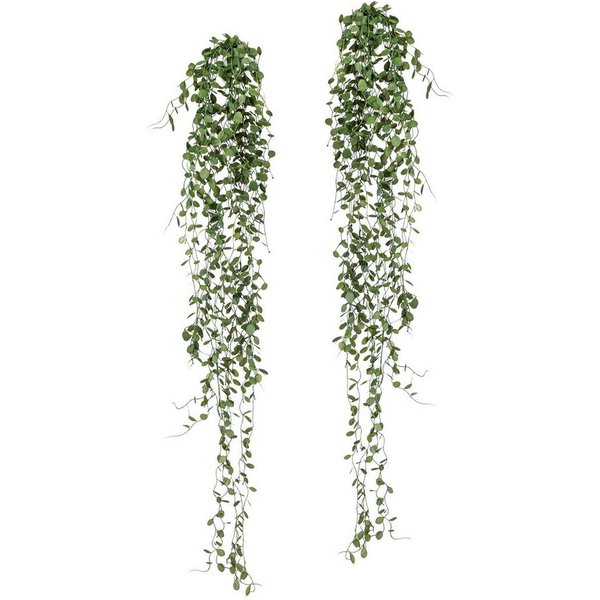 Kunstranke Mühlenbeckia-Hänger Mühlenbeckia, Creativ green, Höhe 80 cm, 2er Set