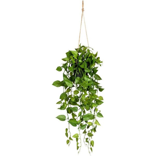 Kunstranke Philodendronhänger Philodendron, Creativ green, Höhe 75 cm, im Hängetopf