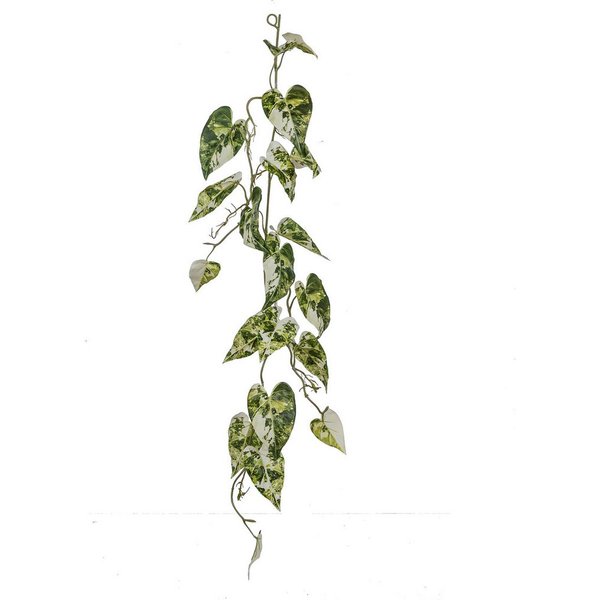 Kunstranke Scindapsusranke, Creativ green, Höhe 123 cm, mit üppigem Blattwerk
